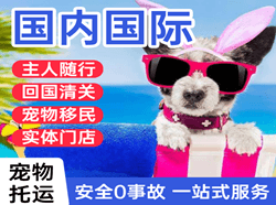 福州航空物流国际宠物托运 【国